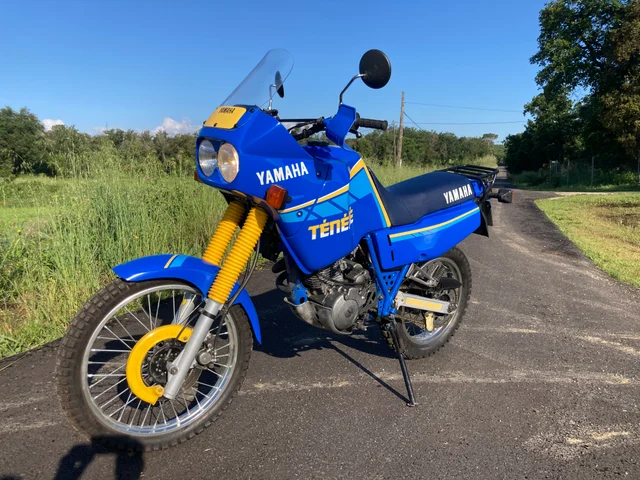 JsKickStarter – YAMAHA 600 Ténéré 3AJ – 01